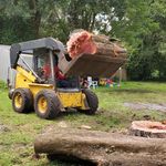 Seth Leon - @leons_landscaping_and_treework - Instagram