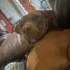 sethleon_ - @sethleon_ - TikTok