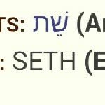 Seth Leslie - @sethleslie13 - Instagram