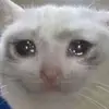 sethleslie2821 - @whyblockedlittleshordy10 - TikTok