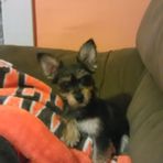 Seth Lightner - Facebook