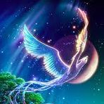 Seth Lightner - Facebook