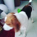 seth lincoln hensley - @sethlincolnhensley - Instagram