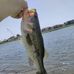 Seth Lind - Facebook
