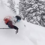 Seth Linden - @sethklinden - Instagram