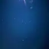 sethlinneman - @sethlinneman - TikTok