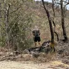 Seth - @lippmann07 - TikTok