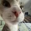 sethlocke8 - @seth.locke6 - TikTok