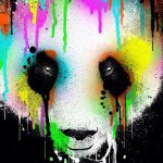 Seth Logan - @sethtlogan04 - Instagram