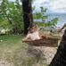 Seth Lorenz - Facebook