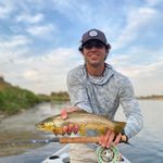Seth Lowry - @_sethlowry - Instagram