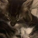 seth Luttrell - @slykooler29 - Instagram