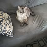 Seth Lyman - @sethlyman7 - Instagram