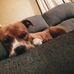 Seth Lyman - Facebook
