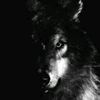 Seth Mackenzie - @sethmackenzie579 - TikTok
