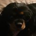 Seth Maddox - Facebook