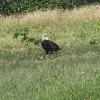 Seth Markley - @seth.markley1 - TikTok