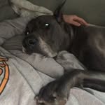 Seth Marler - @_sethmarler - Instagram