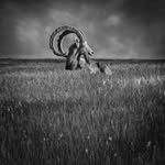 Seth Mayer - @seth.mayer.photography - Instagram