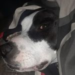 Seth McDowell - @seth.mcdowell.9615 - Instagram