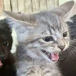 Seth McGillivray - @seth_mcgillivray - Instagram