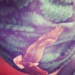 Seth.mcgill - @sethmcgillio - Instagram