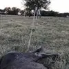 Seth McGraw308 - @sethmcgraw1 - TikTok