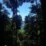Seth Mclaughlin - @seth_mc0 - Instagram