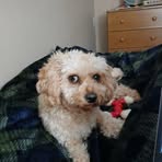 Seth McLaughlin - Facebook