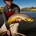 Seth McLean - Facebook