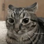 Seth McMullen - @seth1_001 - Instagram