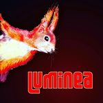 Nic Morgan and Seth Minor - @lumineatheband - Instagram