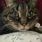 Seth Moody - @madmanmoodyismadcool - Instagram