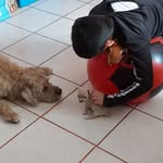 Seth Morales - @phasma8284 - Instagram