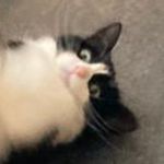 Seth Morley - @seth_morley_ - Instagram