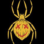 Seth Morse - @sunnyspiderweb - Instagram
