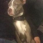 Seth Nash - @snash29nh - Instagram