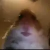Seth nickerson - @sethn1234 - TikTok