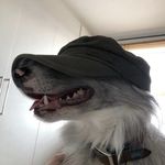 Seth Norris - @ighostals - Instagram