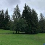 Seth Norris - @sethnorris61 - Instagram
