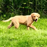 Seth O'Brien - @sethobrvt - Instagram