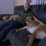 Seth O'Neill - @shamsterlikestosham - Instagram
