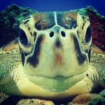 seth riley oneill - @seaman_god - Instagram