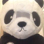 Seth van aswegen oneill - @bob_the_builder_jeff111 - Instagram