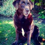 Seth.O'neill - @sethoneill82 - Instagram