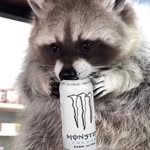 Seth Ortiz - @s2th0_11 - Instagram