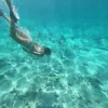 StephPackwood - @stephanie.packwood - TikTok