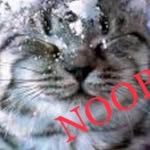 Seth Peck - @sethpeck01_yt - Instagram
