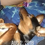 @seth_peeples_22 - Instagram