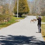 Seth Penney - @sethianpenney - Instagram